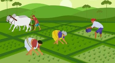 "The Unsung Heroes: Farmers and Their Relentless 24/7 Struggle for Survival" 3 Farmersss Farmersss blissfulpeaceful